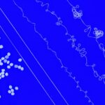 El MIT desarrolla un hilo elástico reciclable que podría facilitar el reciclaje de textiles