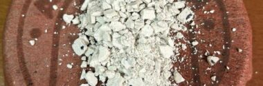 Diseñan un biomaterial para regenerar huesos a partir de restos de poda de uva
