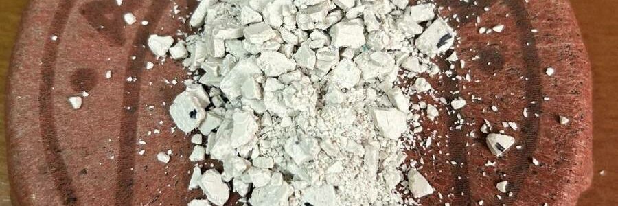 Diseñan un biomaterial para regenerar huesos a partir de restos de poda de uva
