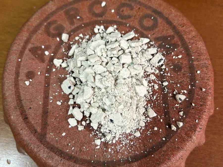 biomaterial a partir de restos de poda de uva