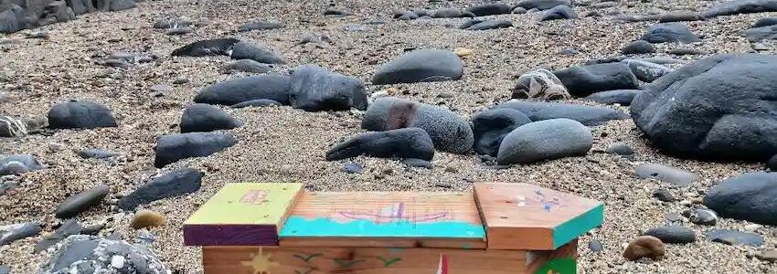 Ulysses registra los primeros recorridos de la basura marina en la costa vasca
