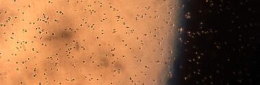 Investigadores trabajan en el primer estándar para evaluar los riesgos de los nanoplásticos presentes en el aire