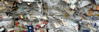 El día que el planeta se queda sin recursos, el sector papelero demuestra que existe una salida