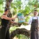 Ecovidrio premia a los nueve establecimientos hosteleros de la costa española más comprometidos con la sostenibilidad