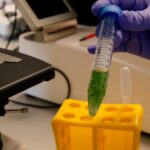 Obtienen biomasa ‘a la carta’ de microalgas que depuran aguas residuales