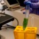 Obtienen biomasa ‘a la carta’ de microalgas que depuran aguas residuales
