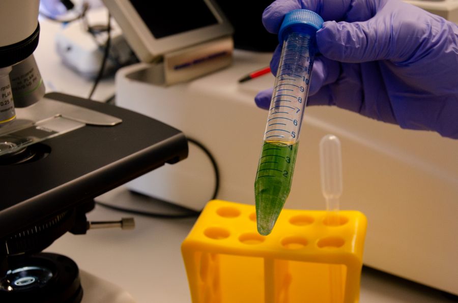biomasa a la carta a partir de microalgas que depuran aguas residuales