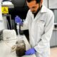 Utilizan bacterias y fagos para acelerar la degradación de bioplásticos