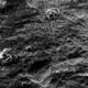 Una bacteria modificada acelera la captura de CO₂ y permite recuperar níquel y cobalto de residuos mineros