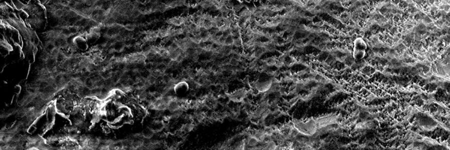 Una bacteria modificada acelera la captura de CO₂ y permite recuperar níquel y cobalto de residuos mineros