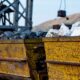Residuos mineros para eliminar bacterias y antibióticos del agua