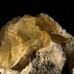 ‘Plasticorales’, la nueva forma de contaminación plástica en las costas de arrecifes de coral