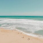 Publicado el programa oficial de Ecoplayas 2026