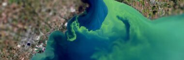 Investigadores desarrollan un método para transformar nitratos contaminantes en nuevos compuestos reutilizables