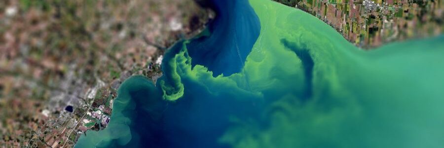 Investigadores desarrollan un método para transformar nitratos contaminantes en nuevos compuestos reutilizables
