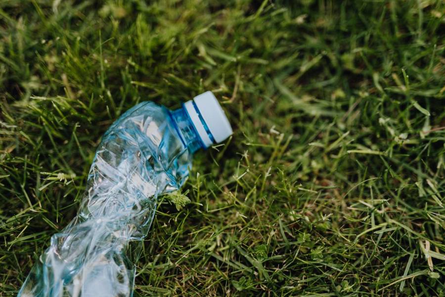 Una enzima bacteriana degrada ciertos tipos de plástico